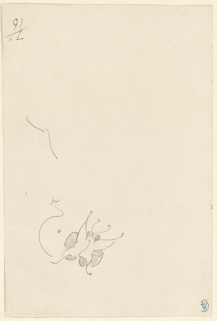 A pencil drawing of a butterfly on the lower left of a sheet of paper. The artist’s insignia stamp is in the lower right in blue ink.