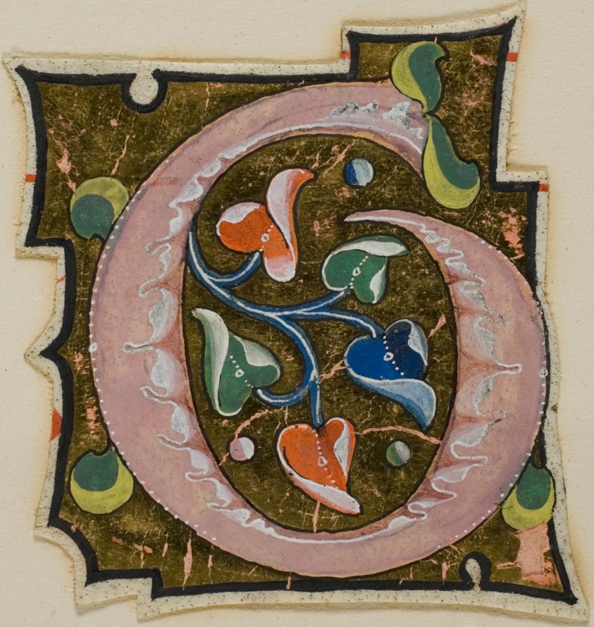 Cutting from a manuscript of the letter G in pink on a green-brown background, with curling leafs in red, blue, and green.