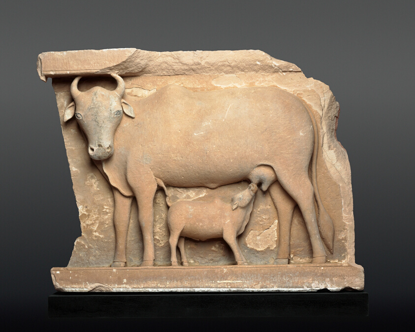 A sandstone sculpture of a cow, its head turned out toward the viewer, with a baby calf suckling underneath.