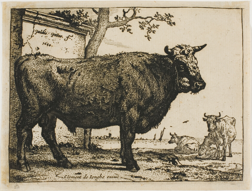 Etching of a large bull in profile, looking toward the viewer, with two additional cows and a milkmaid in the background.