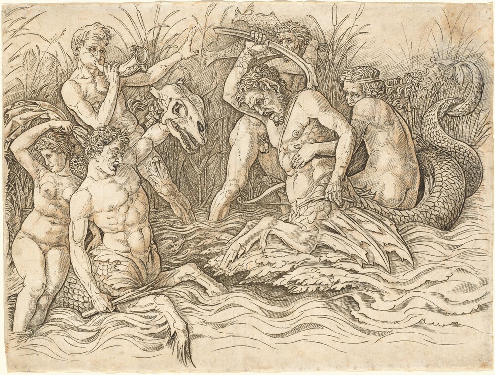 Battle of the Sea Gods [right half] — Print by Andrea Mantegna. engraving on laid paper.