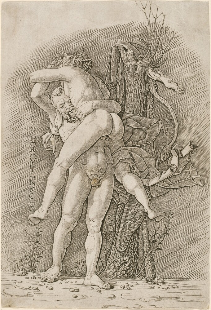 Hercules and Antaeus — Print by Workshop of Andrea Mantegna. engraving on laid paper.